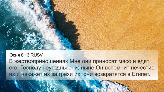 Осия 8:13 RUSV Bible Verse Image
