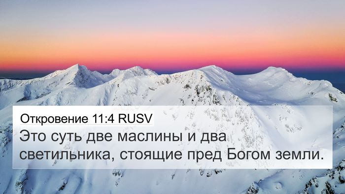 Откровение 11:4 RUSV 4K Wallpaper - Это суть две маслины и два - 4K Wallpaper Bible Verse