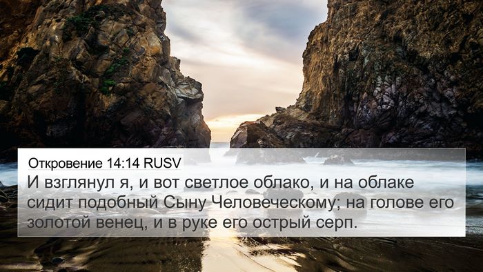 Откровение 14:14 RUSV Bible Verse Image
