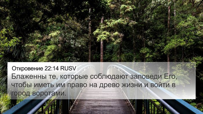 Откровение 22:14 RUSV Bible Verse Image