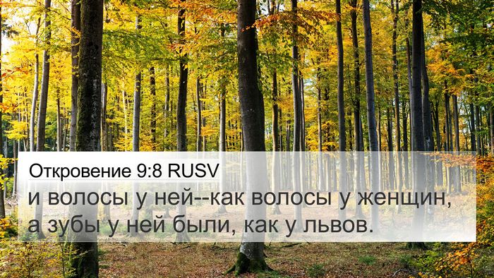 Откровение 9:8 RUSV 4K Wallpaper - и волосы у ней--как волосы у - 4K Wallpaper Bible Verse