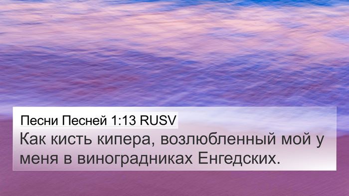 Песни Песней 1:13 RUSV Bible Verse Image