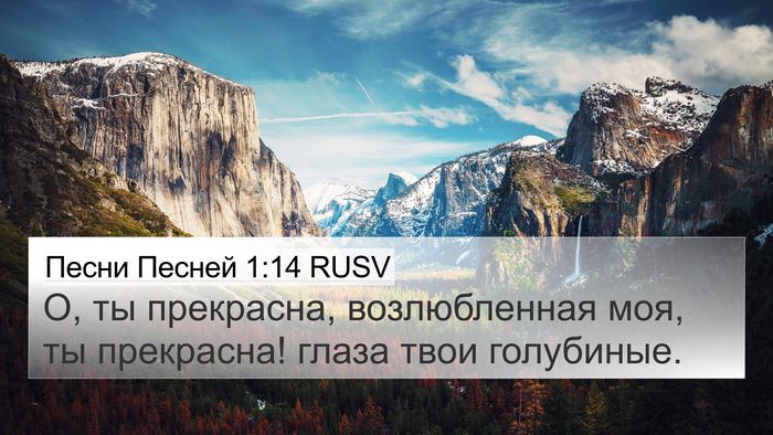 Песни Песней 1:14 RUSV Bible Verse Image