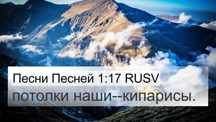 Песни Песней 1:17 RUSV Bible Verse Image