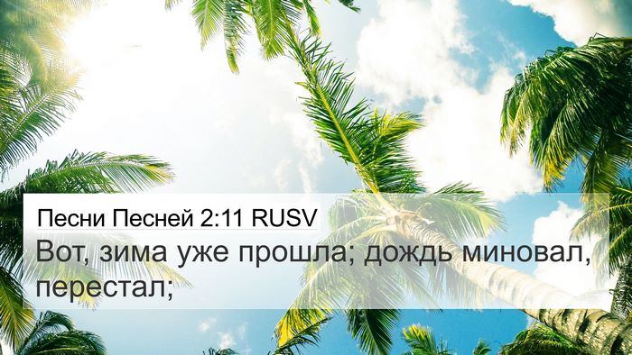 Песни Песней 2:11 RUSV 4K Wallpaper - Вот, зима уже прошла; дождь - 4K Wallpaper Bible Verse
