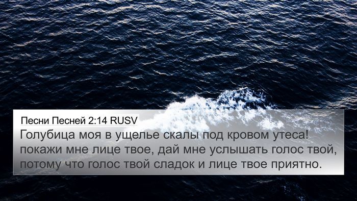 Песни Песней 2:14 RUSV Bible Verse Image