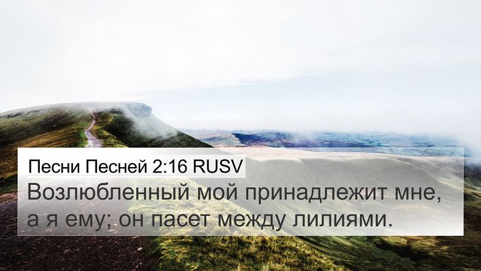 Песни Песней 2:16 RUSV Bible Verse Image