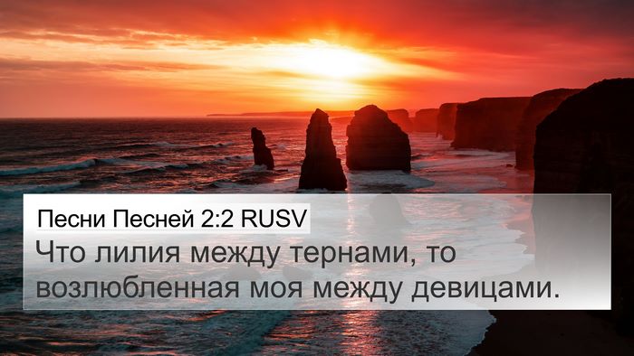 Песни Песней 2:2 RUSV 4K Wallpaper - Что лилия между тернами, то - 4K Wallpaper Bible Verse