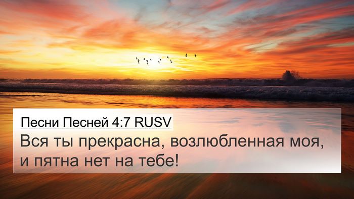 Песни Песней 4:7 RUSV Bible Verse Image