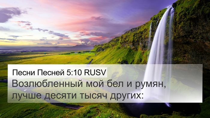 Песни Песней 5:10 RUSV Bible Verse Image