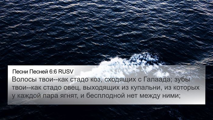 Песни Песней 6:6 RUSV Bible Verse Image