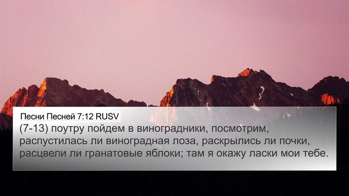 Песни Песней 7:12 RUSV Bible Verse Image
