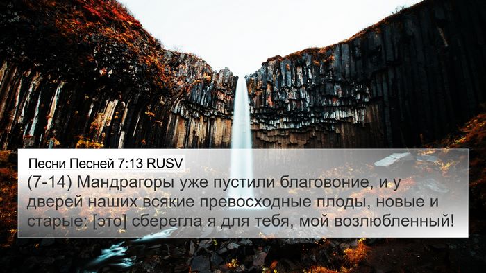 Песни Песней 7:13 RUSV Bible Verse Image