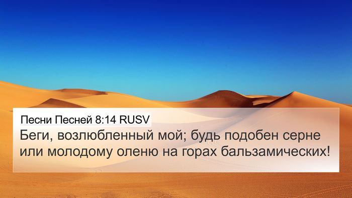 Песни Песней 8:14 RUSV Bible Verse Image