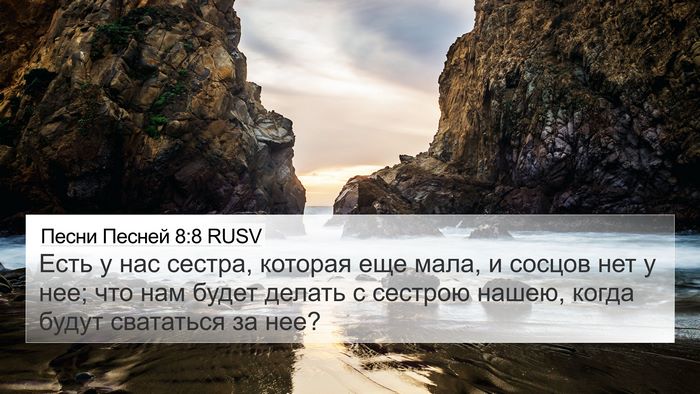 Песни Песней 8:8 RUSV Bible Verse Image