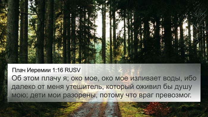 Плач Иеремии 1:16 RUSV Bible Verse Image