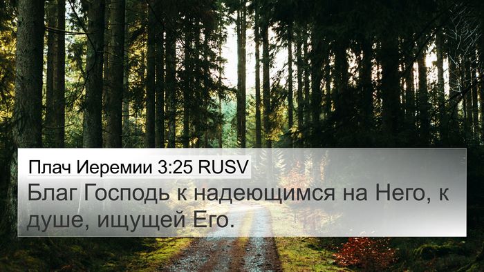 Плач Иеремии 3:25 RUSV Bible Verse Image