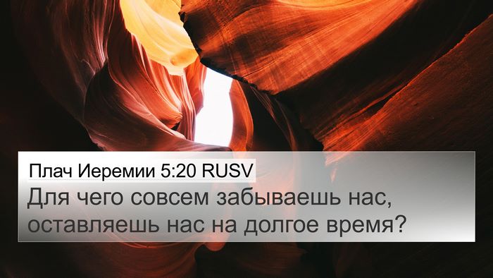 Плач Иеремии 5:20 RUSV Bible Verse Image