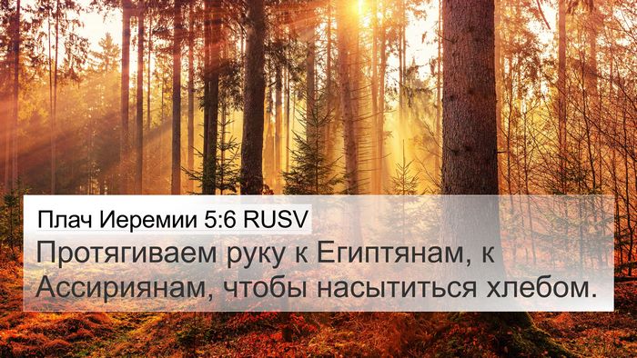 Плач Иеремии 5:6 RUSV Bible Verse Image
