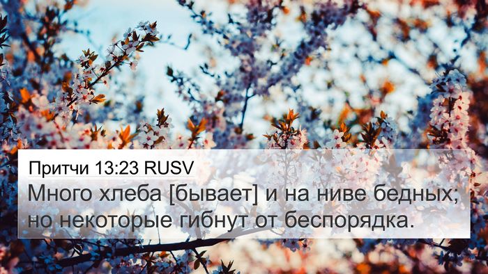 Притчи 13:23 RUSV Bible Verse Image