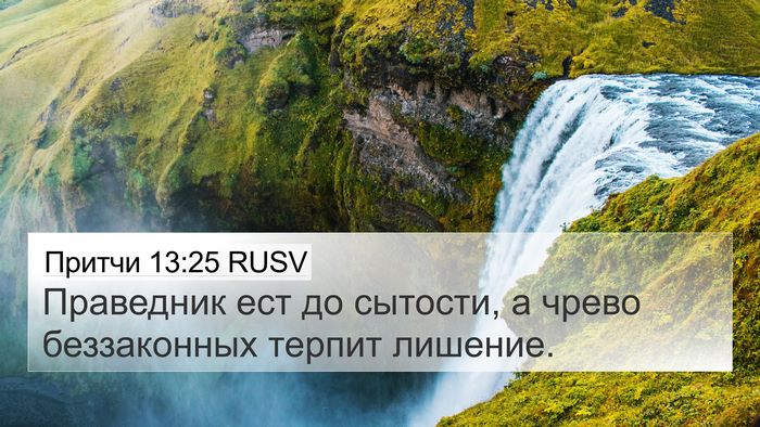 Притчи 13:25 RUSV Bible Verse Image