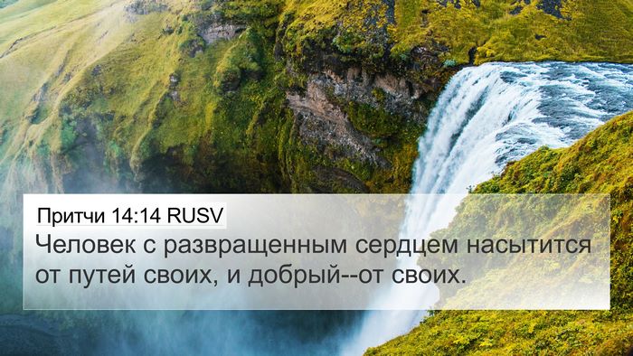 Притчи 14:14 RUSV Bible Verse Image