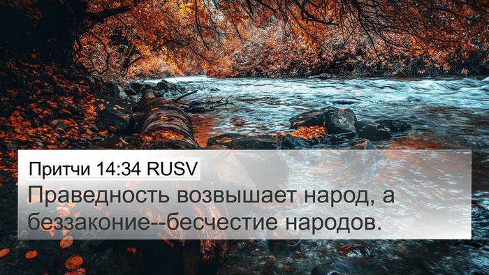 Притчи 14:34 RUSV Bible Verse Image
