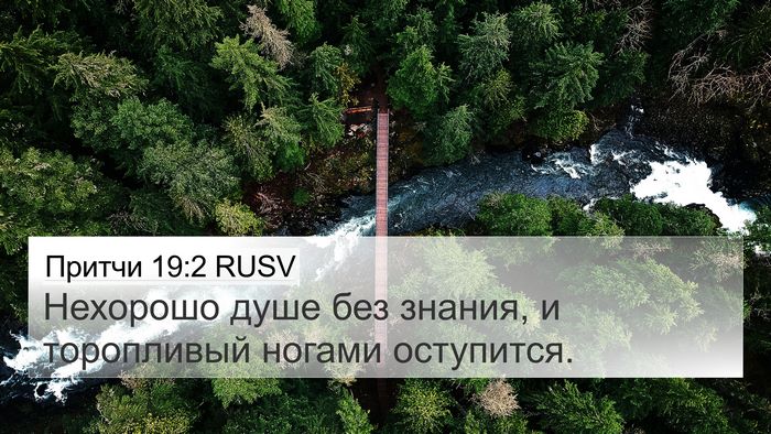 Притчи 19:2 RUSV 4K Wallpaper - Нехорошо душе без знания, и - 4K Wallpaper Bible Verse