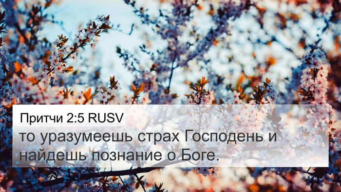 Притчи 2:5 RUSV Bible Verse Image