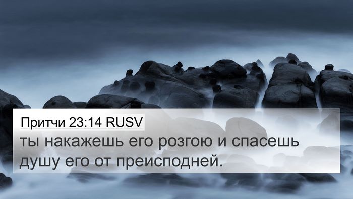 Притчи 23:14 RUSV Bible Verse Image