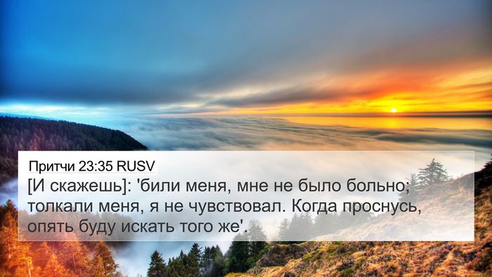 Притчи 23:35 RUSV Bible Verse Image