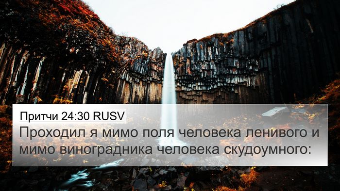 Притчи 24:30 RUSV Bible Verse Image