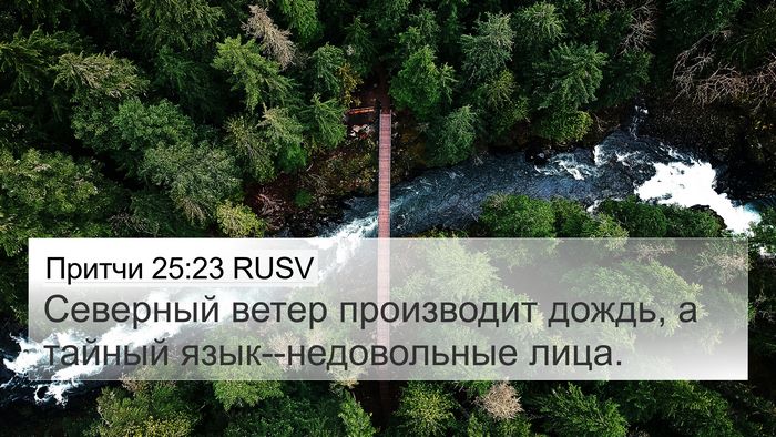 Притчи 25:23 RUSV Bible Verse Image