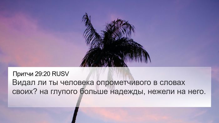 Притчи 29:20 RUSV Bible Verse Image