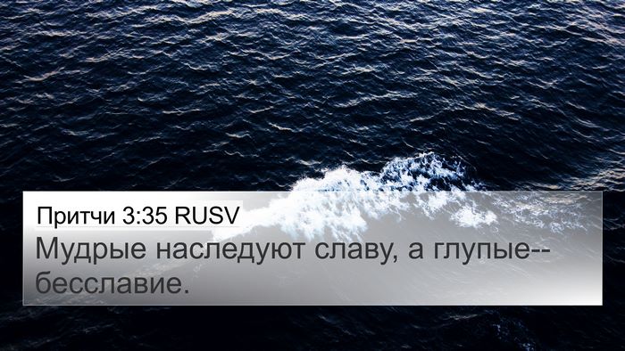 Притчи 3:35 RUSV Bible Verse Image