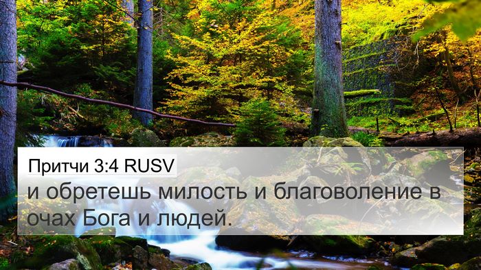 Притчи 3:4 RUSV Bible Verse Image