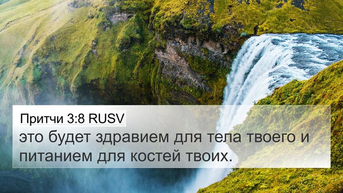 Притчи 3:8 RUSV 4K Wallpaper - это будет здравием для - 4K Wallpaper Bible Verse