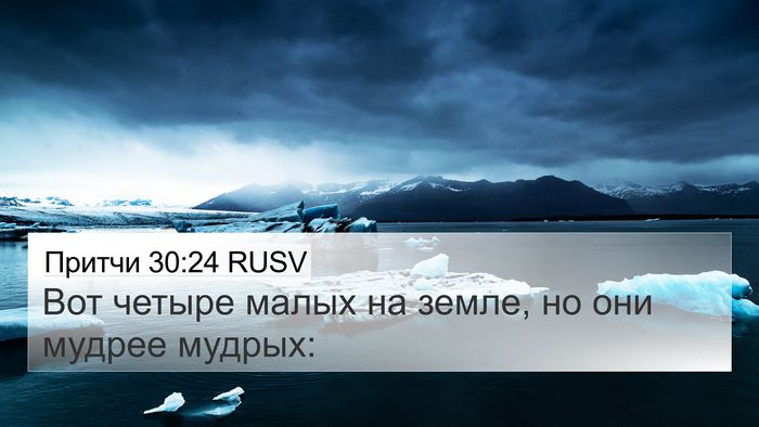 Притчи 30:24 RUSV 4K Wallpaper - Вот четыре малых на земле, - 4K Wallpaper Bible Verse