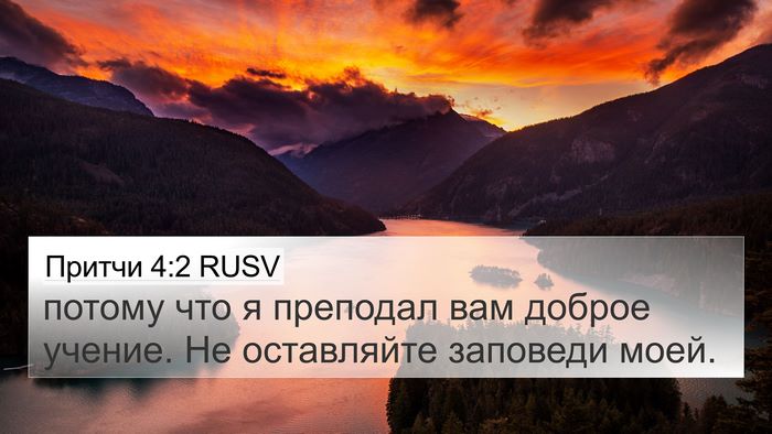 Притчи 4:2 RUSV 4K Wallpaper - потому что я преподал вам - 4K Wallpaper Bible Verse