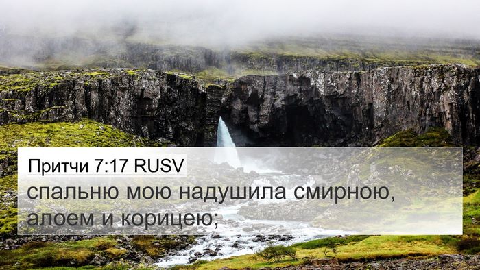 Притчи 7:17 RUSV Bible Verse Image