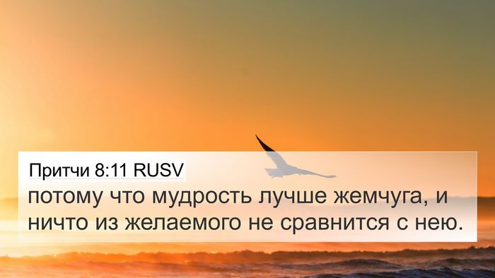 Притчи 8:11 RUSV Bible Verse Image