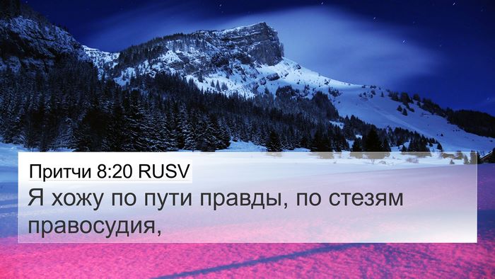 Притчи 8:20 RUSV Bible Verse Image