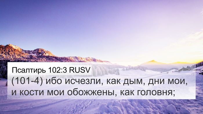 Псалтирь 102:3 RUSV Bible Verse Image