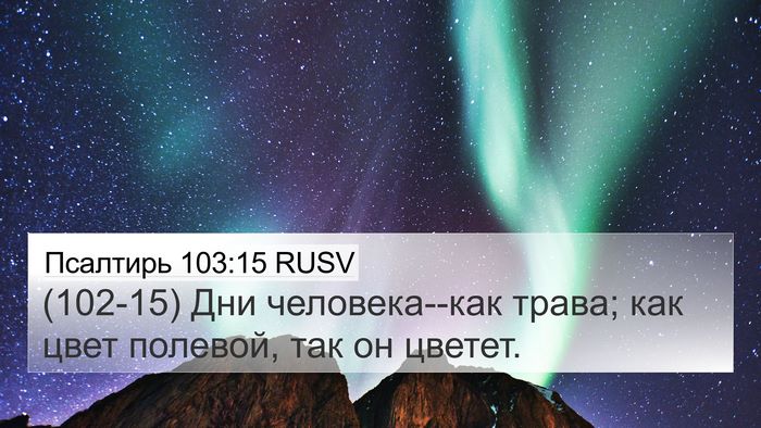 Псалтирь 103:15 RUSV Bible Verse Image