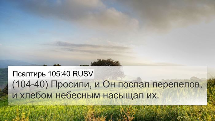 Псалтирь 105:40 RUSV Bible Verse Image