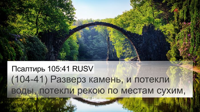 Псалтирь 105:41 RUSV Bible Verse Image