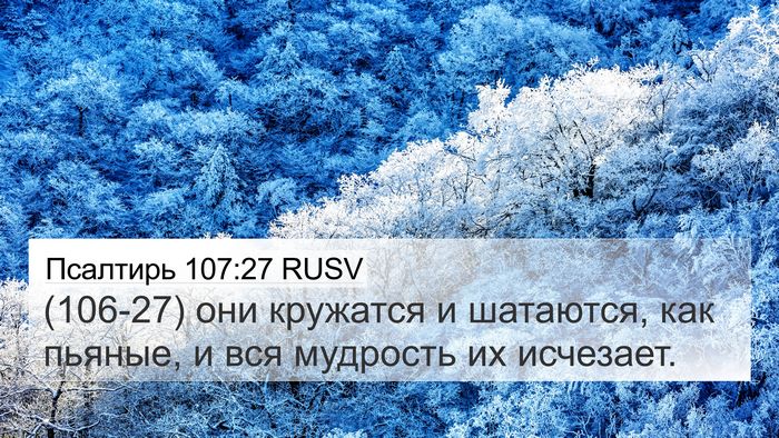 Псалтирь 107:27 RUSV Bible Verse Image
