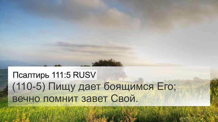 Псалтирь 111:5 RUSV Bible Verse Image