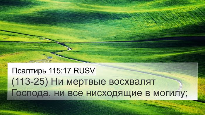 Псалтирь 115:17 RUSV Bible Verse Image