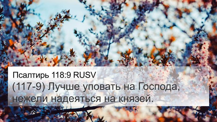 Псалтирь 118:9 RUSV 4K Wallpaper - (117-9) Лучше уповать на - 4K Wallpaper Bible Verse